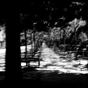 Fleurs et jardins Carole Bellaïche