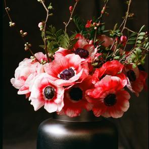 Fleurs et jardins Carole Bellaïche