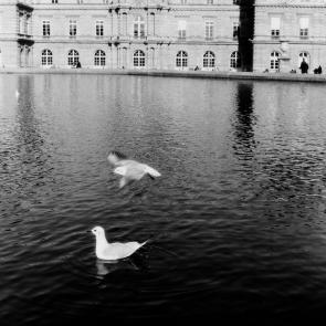 Fleurs et jardins Carole Bellaïche