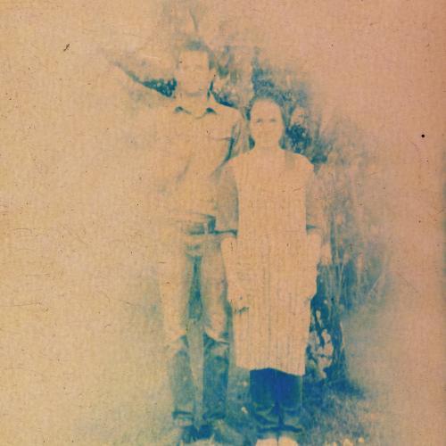 Familles Croisées - Arno BRIGNON