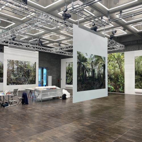 Accrochage Forêts clarins Sauvages Laurent Monlaü