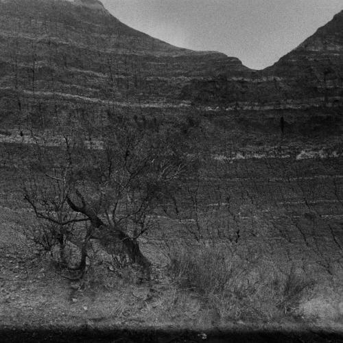 Paysage noir et blanc Arno Brignon