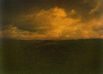 paysage sombre avec une ligne d'horizon et des oiseaux sur un lil electrique