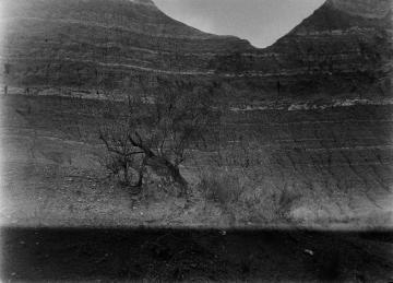 Paysage noir et blanc Arno Brignon