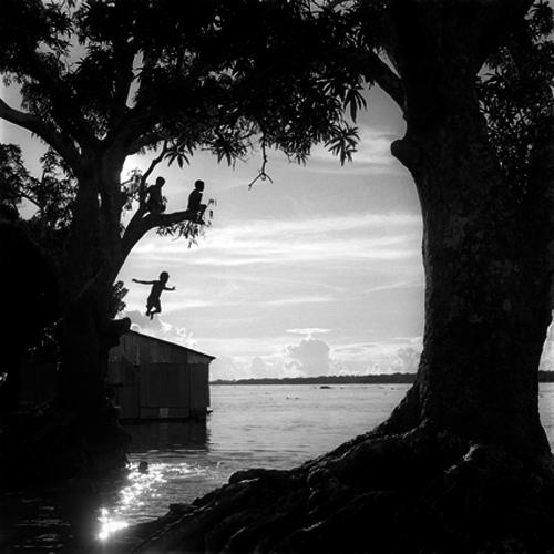 Amazone, un monde en suspens