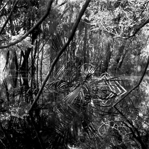 Amazone, un monde en suspens