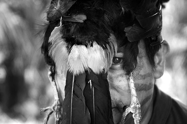 Amazone, un monde en suspens