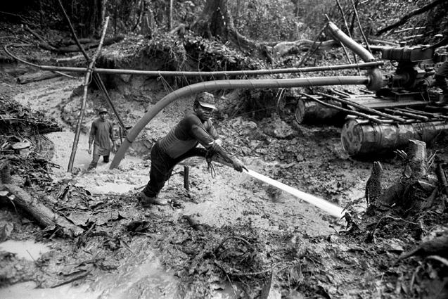 Amazone, un monde en suspens