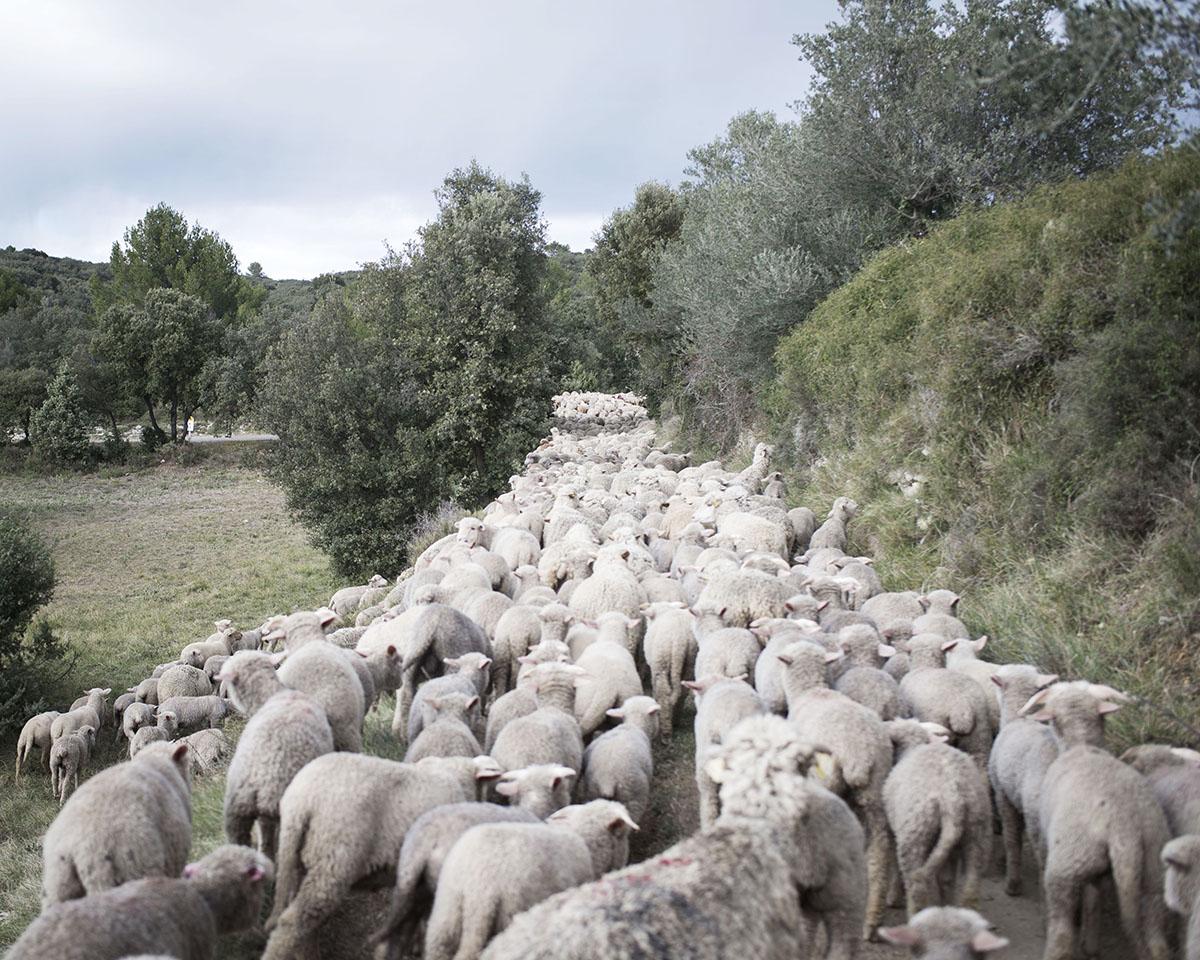 ABADIE_BERENGERE_002