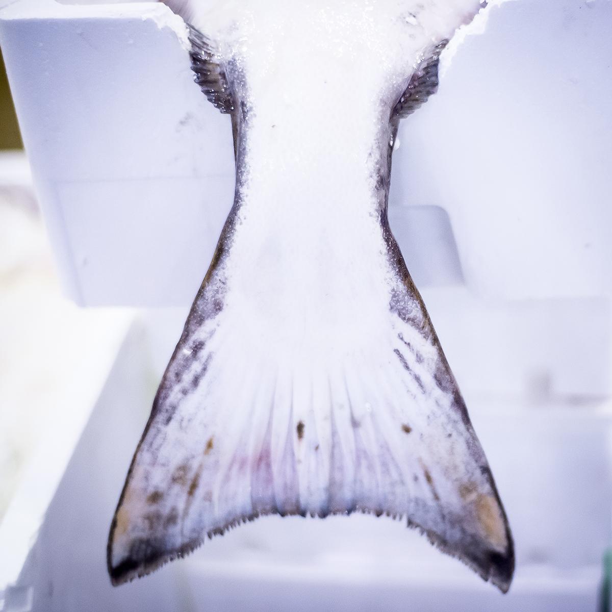 LEVILLAIN_RUNGIS_008