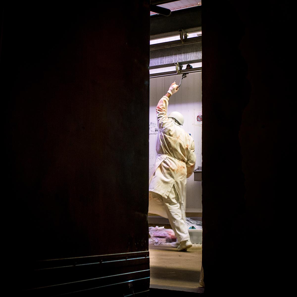 LEVILLAIN_RUNGIS_012