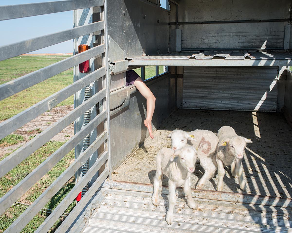 ABADIE_BERENGERE_012