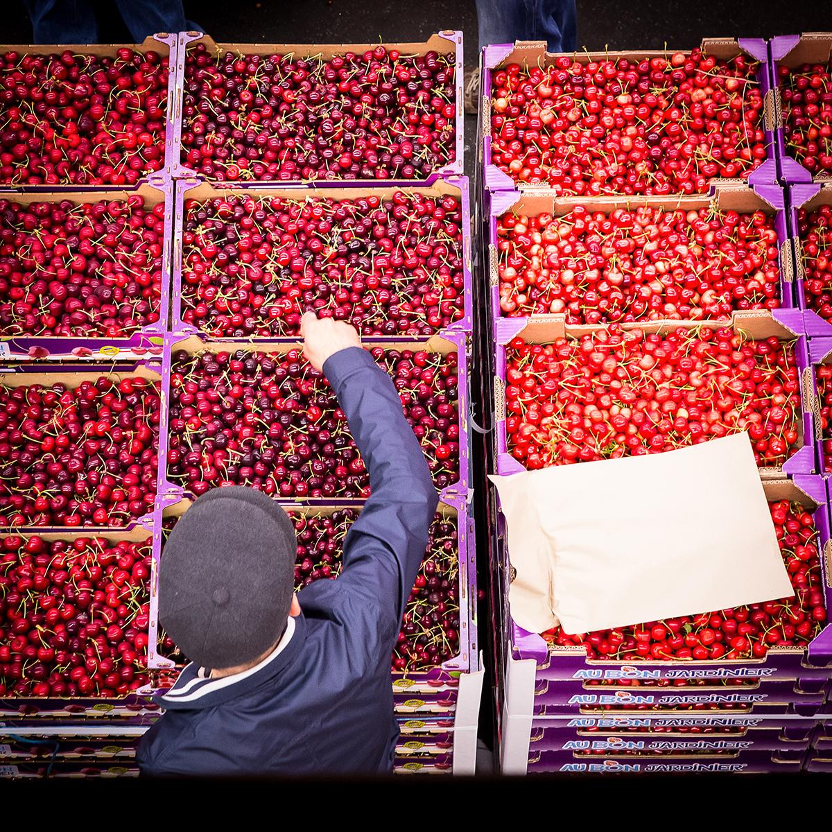 LEVILLAIN_RUNGIS_013