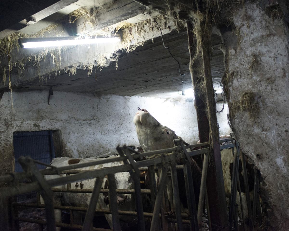 ABADIE_BERENGERE_022