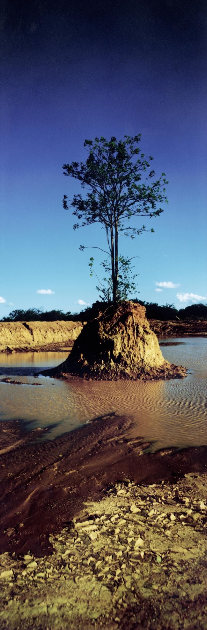 Eden Laurent Monlaü