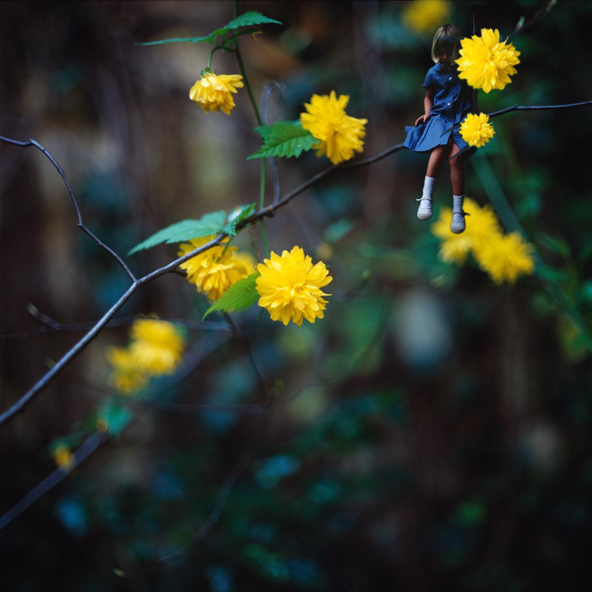 MLIESSE_POUCETTE_006