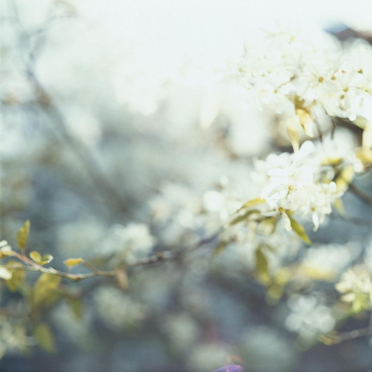 MLIESSE_POUCETTE_010