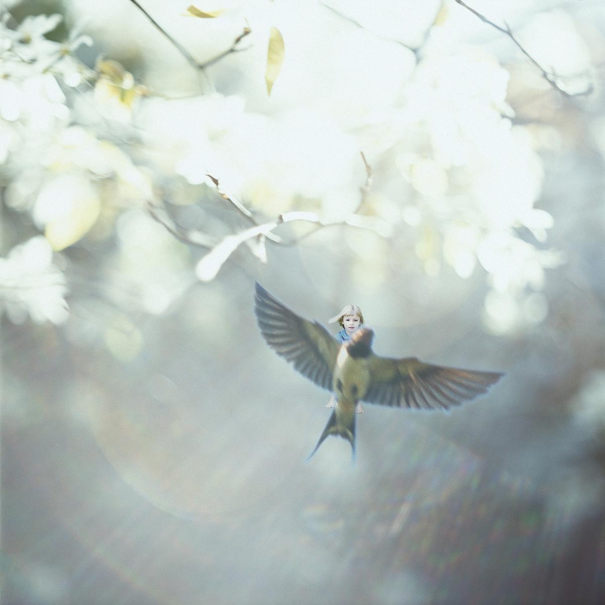 MLIESSE_POUCETTE_011