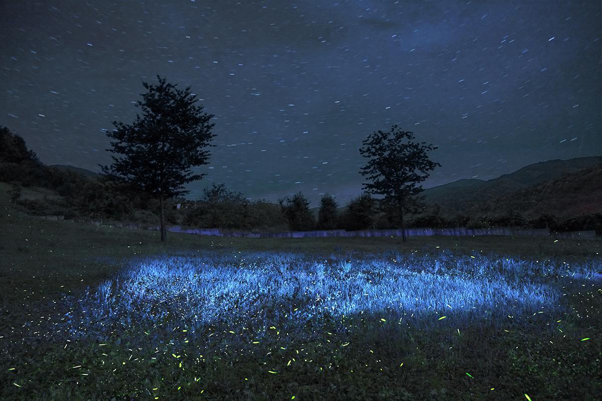 SEMENIAKO_LUCIOLES_005