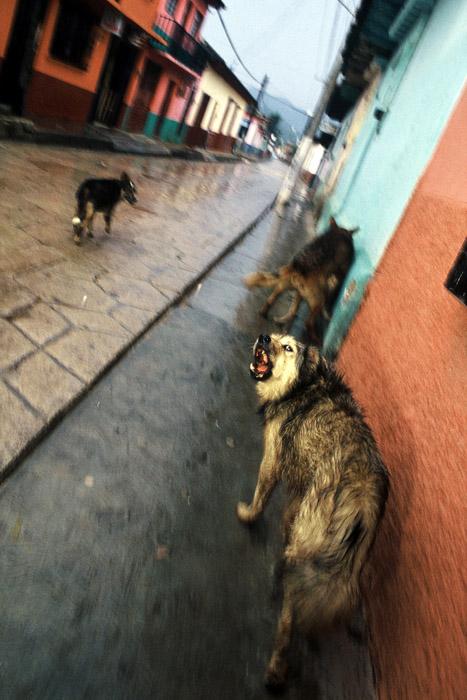 CHOQUER_HORS CHAMP_010