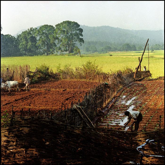 ROUSSELOT_POGROM_001