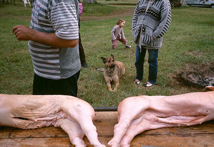 EROME_IRRELEVANCE_005