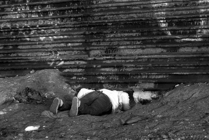 BARD_EXPOELNORTE_005