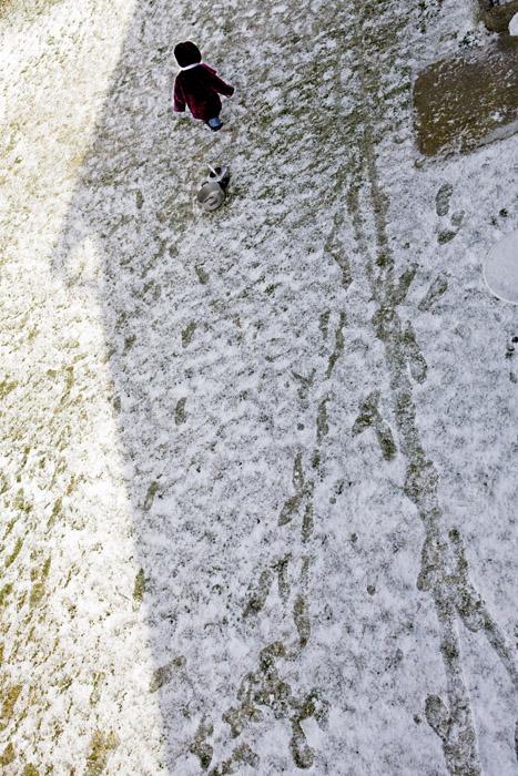 LEVILLAIN_EXPOMOMES_006