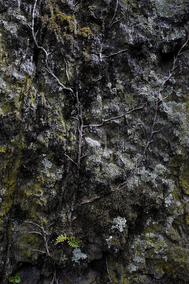 SCHULLER_AQUEDUC_006