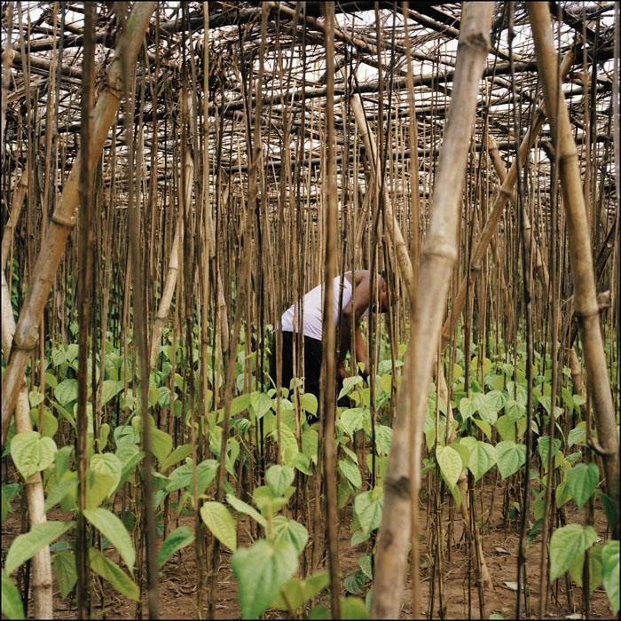 ROUSSELOT_ORISSA_009