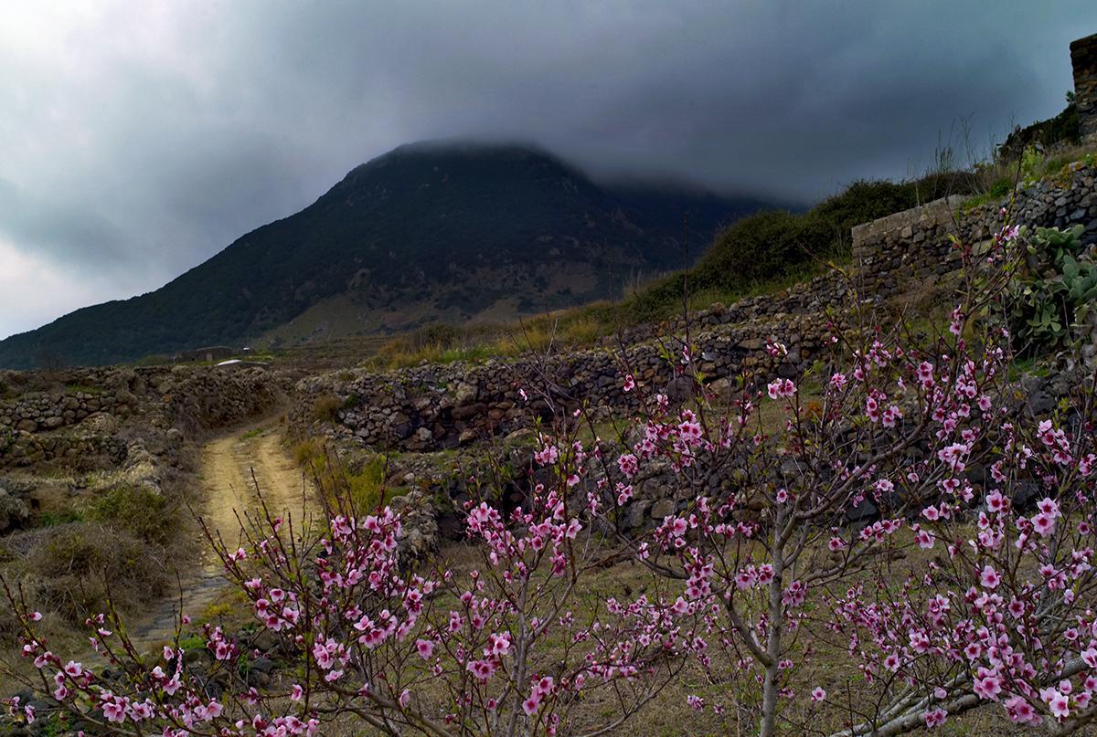 BORREDON_PANTELLERIA_011