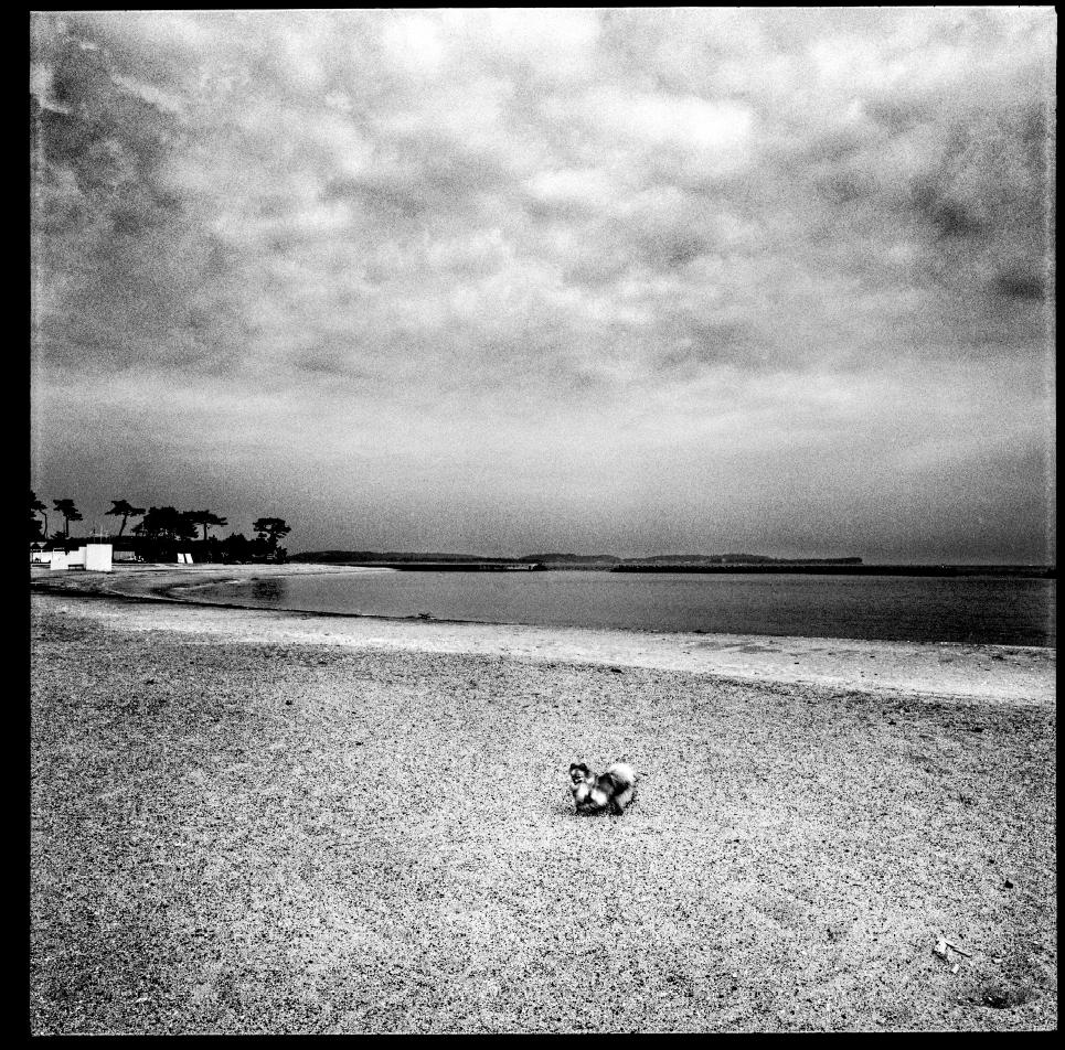 LAMBOURS_EXPOGAIJIN_011