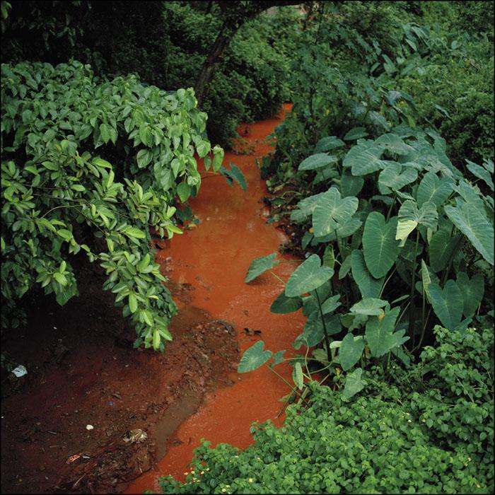 ROUSSELOT_ORISSA_018