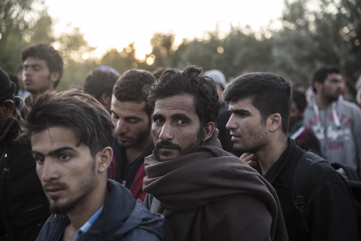 PORNECZI_REFUGIES_021