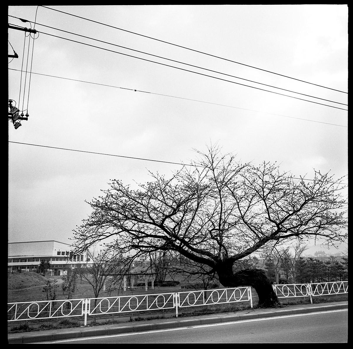 LAMBOURS_EXPOGAIJIN_024