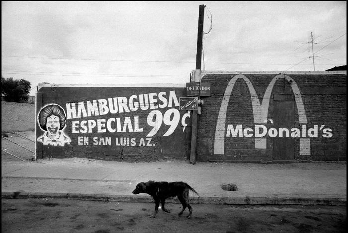 BARD_EXPOELNORTE_029