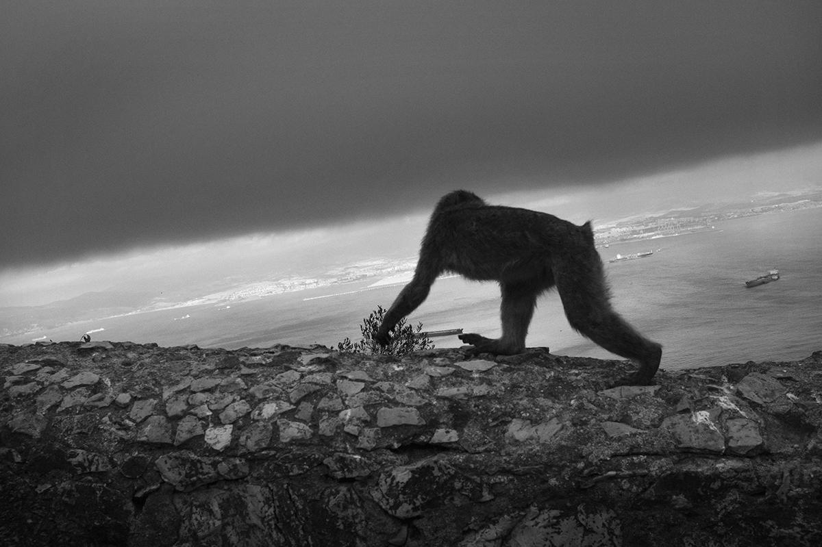 BRIGNON_EXPO_FREEDOORS_032