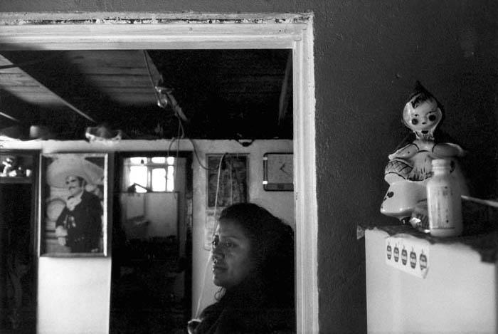 BARD_EXPOELNORTE_035