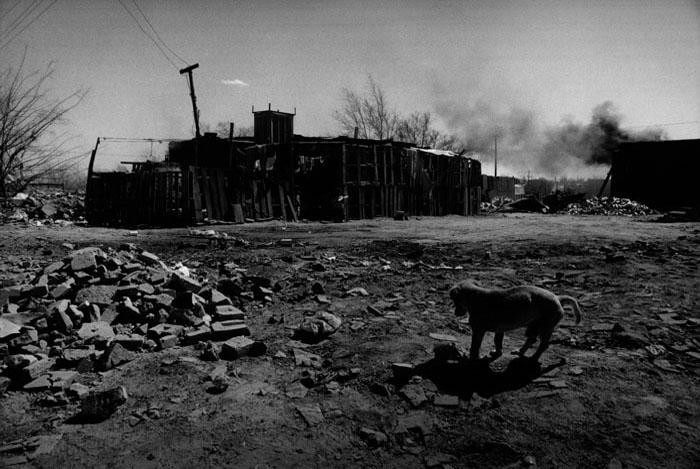 BARD_EXPOELNORTE_037