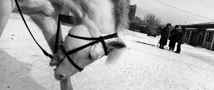 expo transsiberiens bard-028