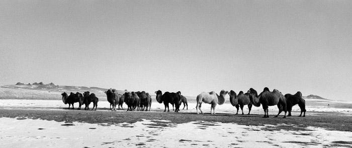 expo transsiberiens bard-039