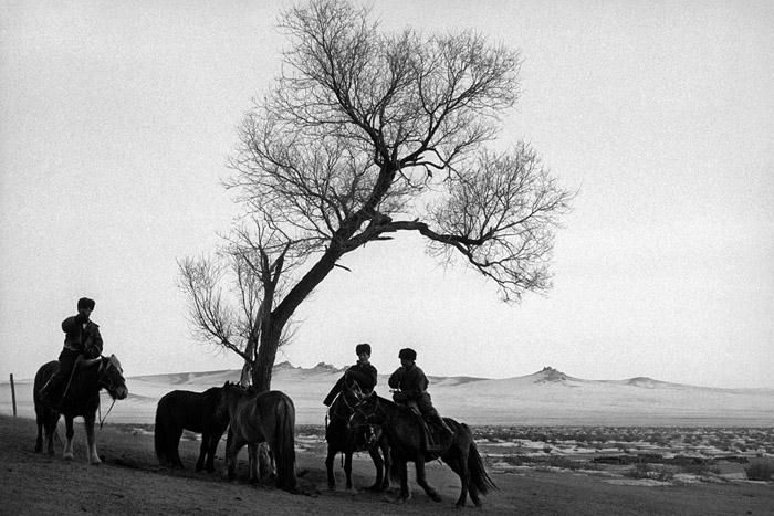 expo transsiberiens bard-044