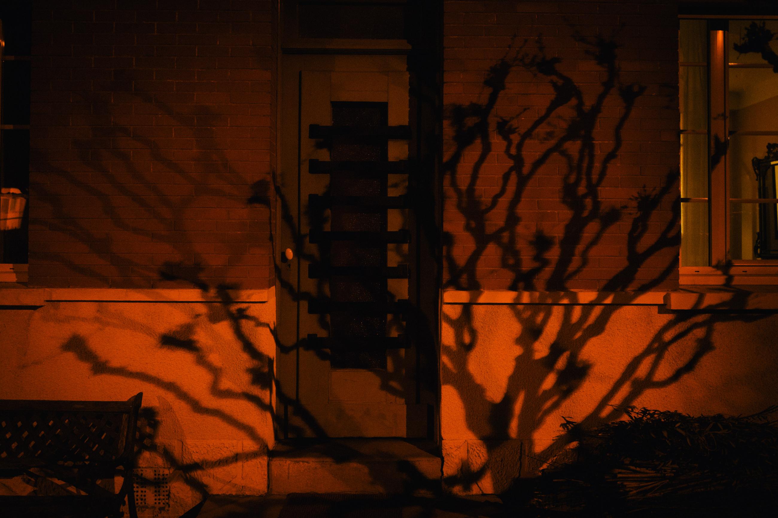 Les jours suivants Arno Brignon