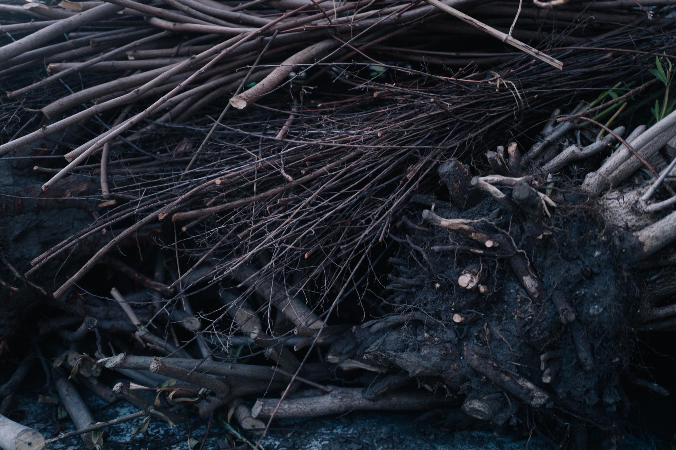 Les jours suivants Arno Brignon