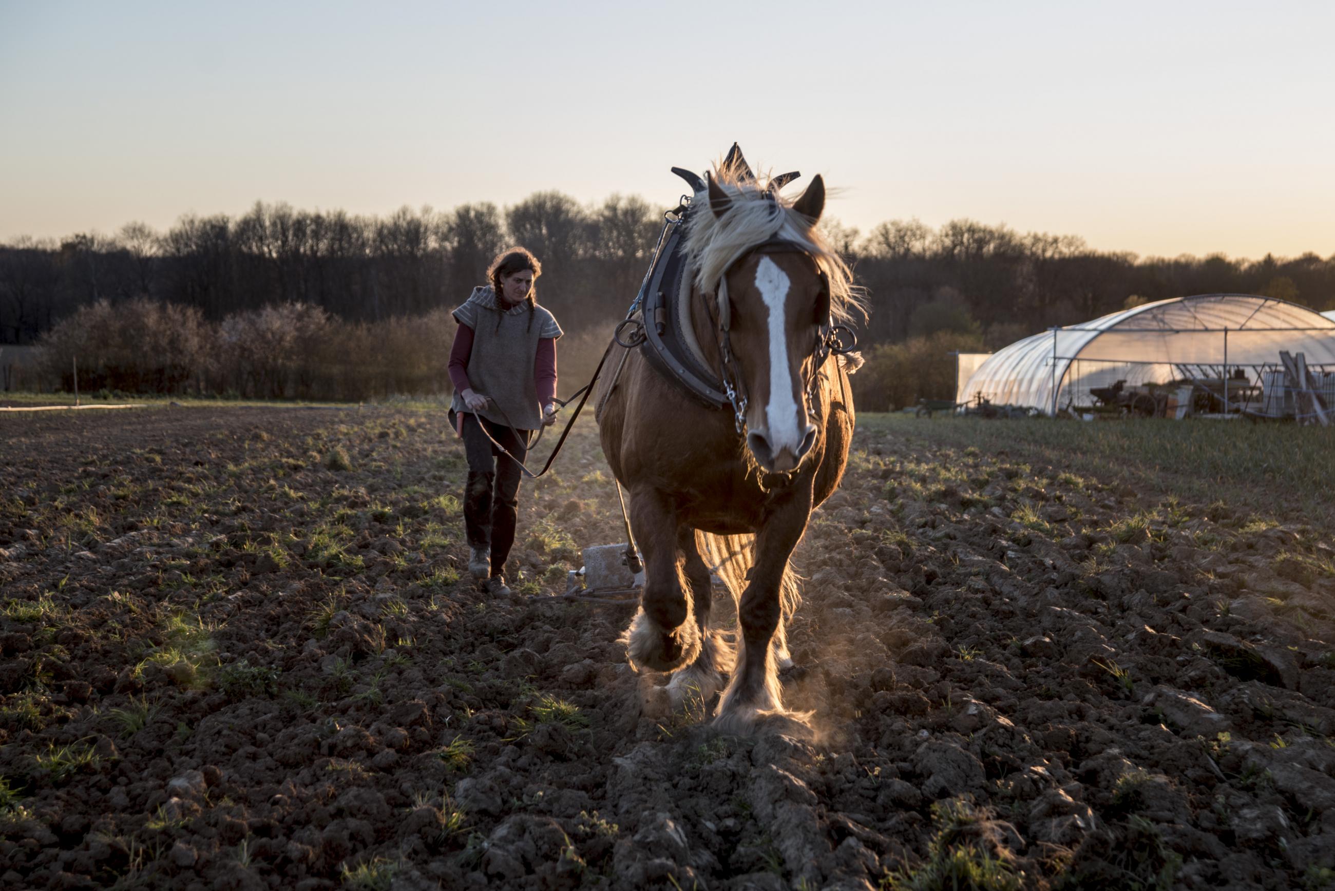 Les essentiels invisibles