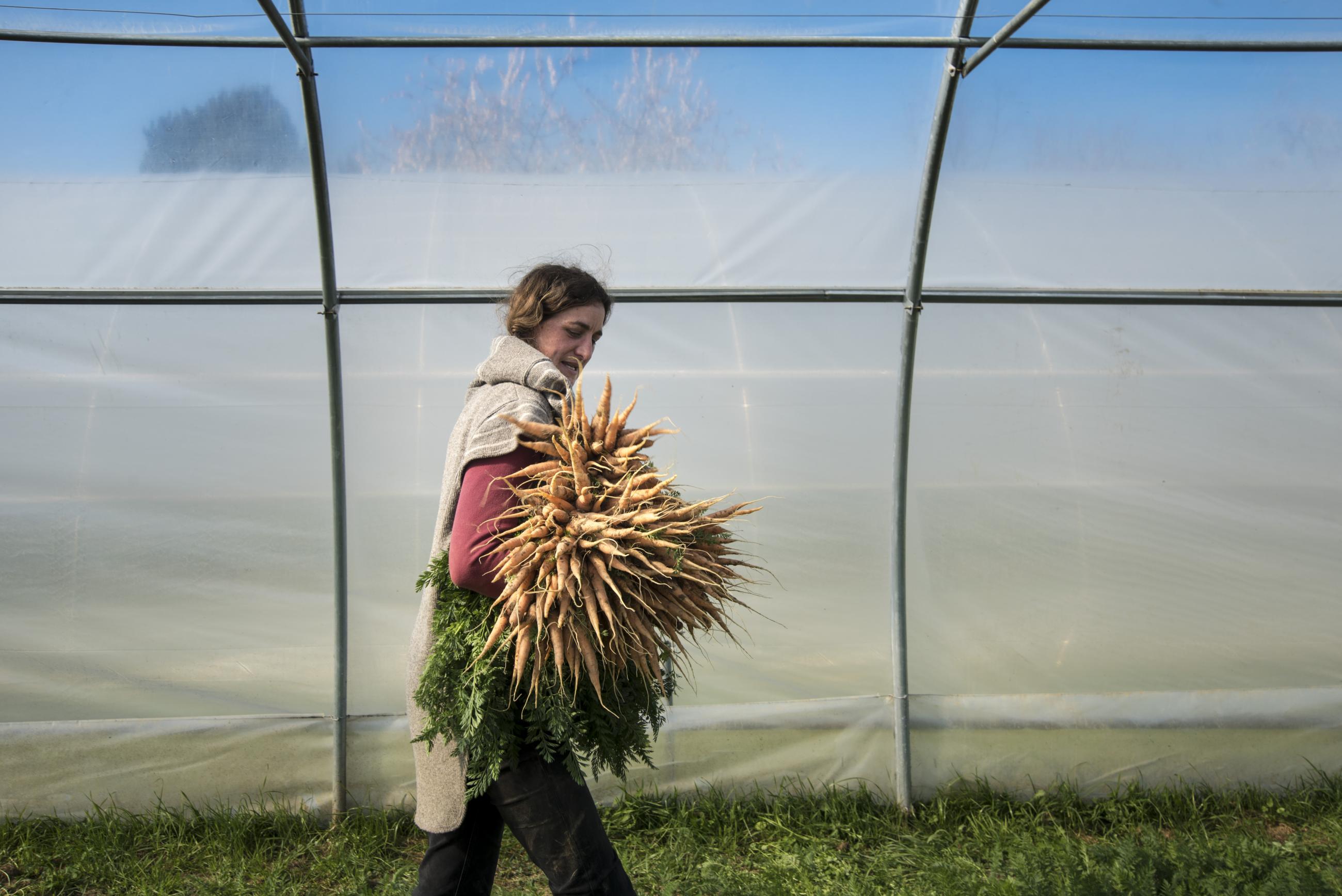 Les essentiels invisibles