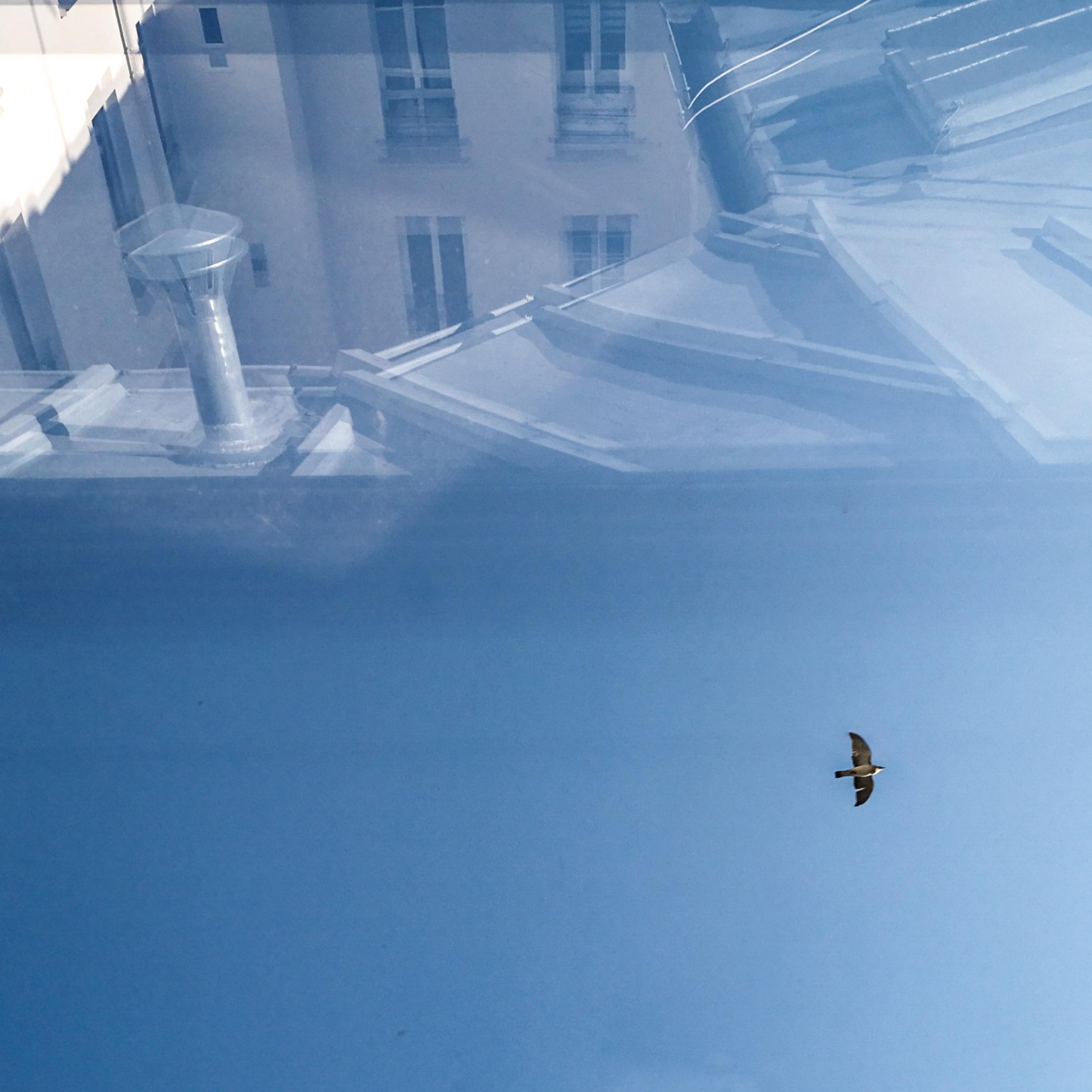 Vas is das Florence Levillain