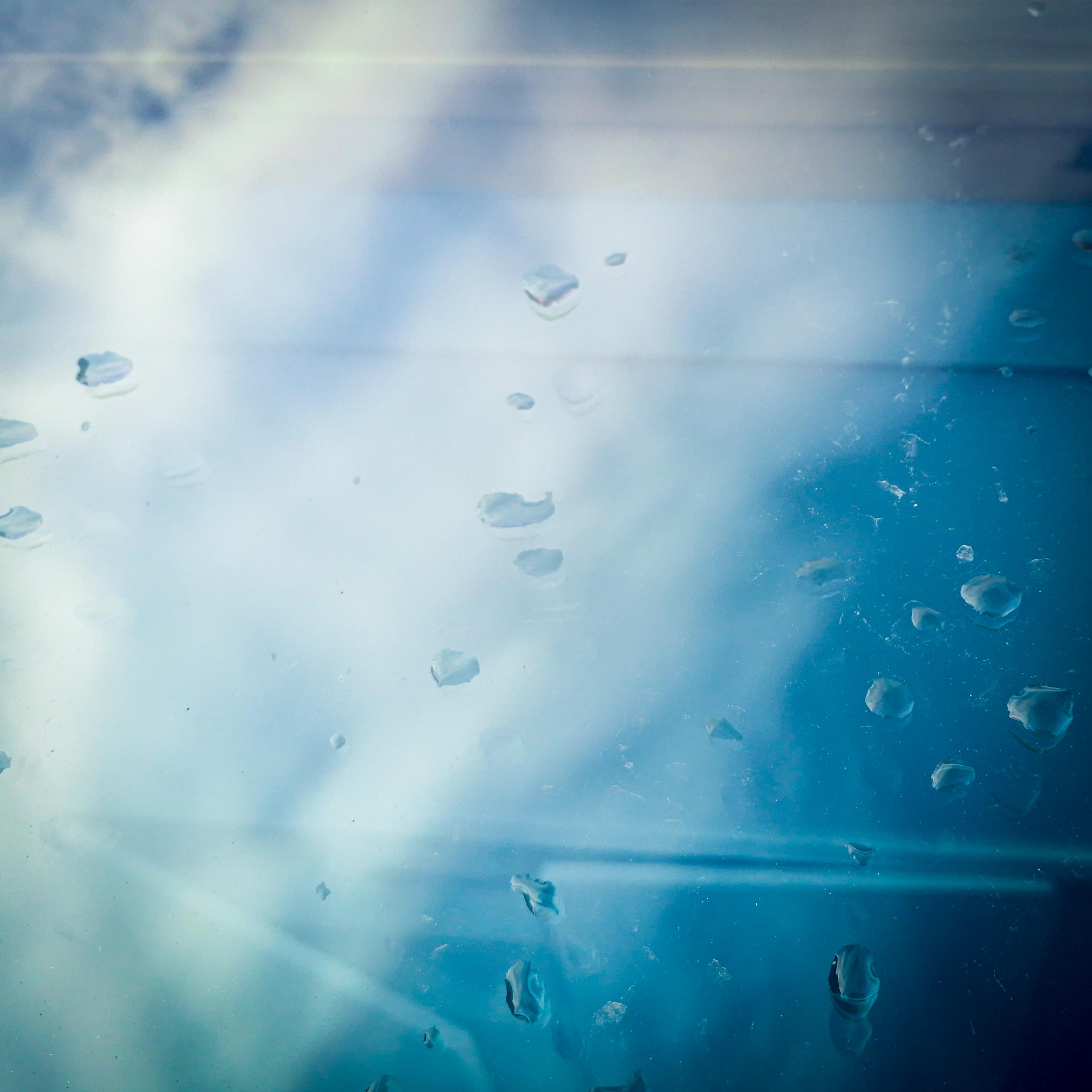 Vas is das Florence Levillain