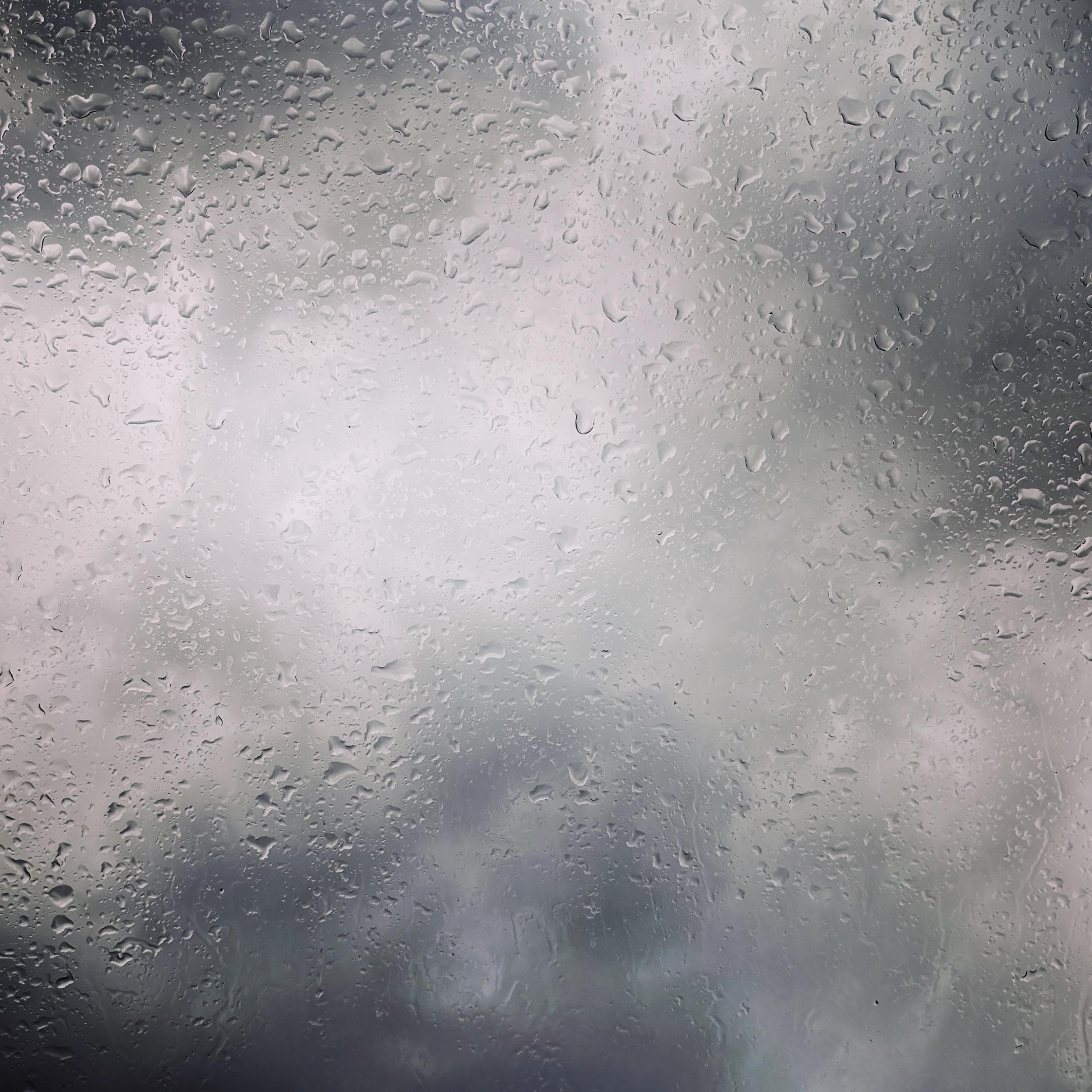 Vas is das Florence Levillain