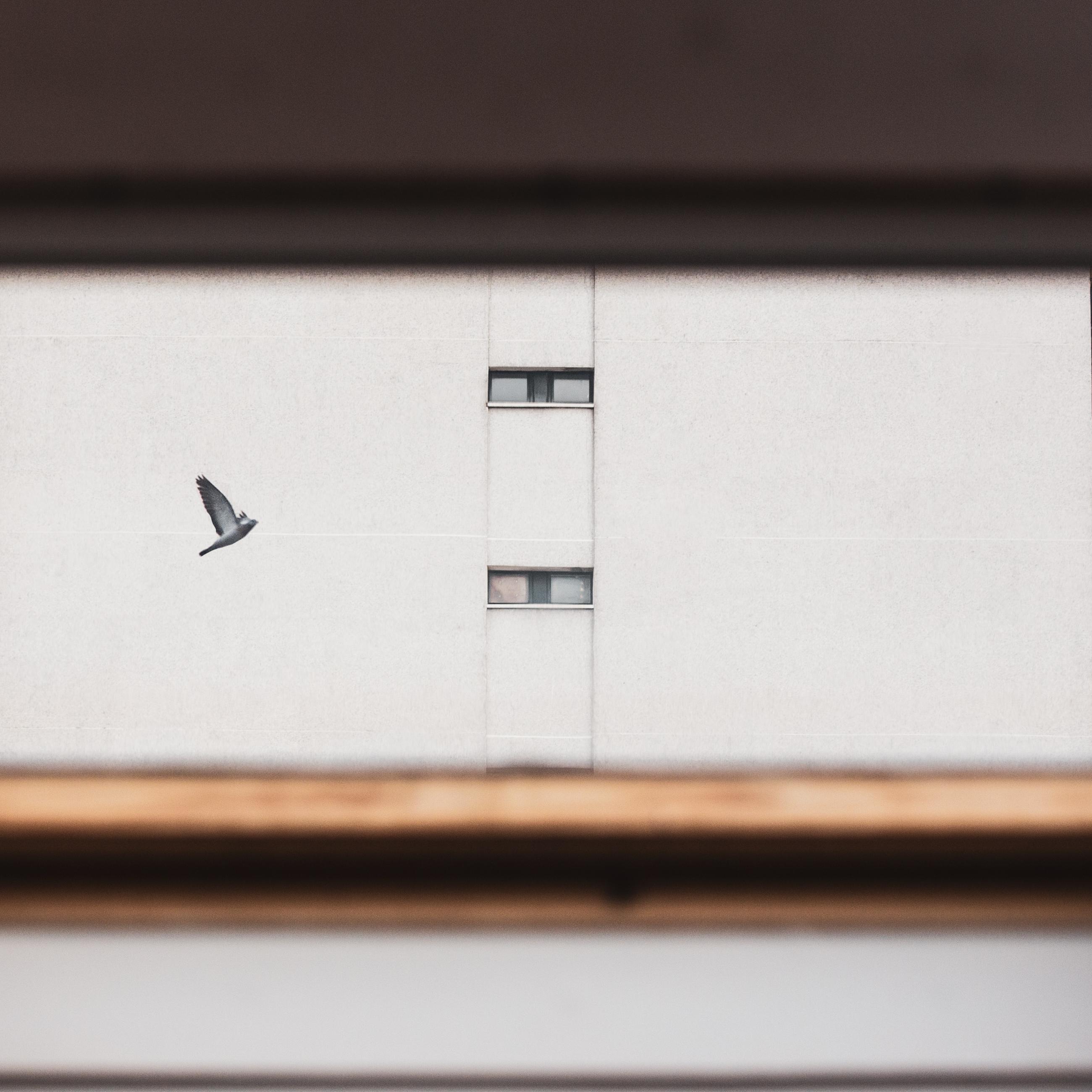 Vas is das Florence Levillain